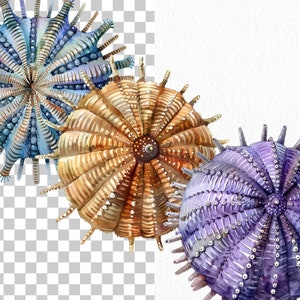Clipart med havsdjur: 76 havsdjur i PNG (digital nedladdning) bild 7