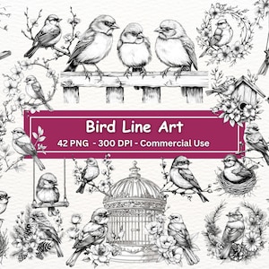 Vogel-Linie Kunst, 42 PNG-Set, Schwarzweiß-Vögel mit Blumen Clip Art, transparenter Hintergrund, digitales Papiermodell