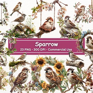 Spatz Clipart Bundle, 23 PNG-Set, transparenter Hintergrund, realistische Wildvogelillustrationen, Clip Art, Kartenherstellung, digitales Papierfertigkeit