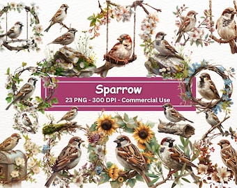 Sparrow Clipart: Realistic Bird PNG Illustrations (Digital Download)