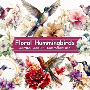 Watercolor Hummingbird PNG Clipart Bundle, Set Of 30, Transparent Background,  Instant Download,Hummingbird Sublimation, Commercial Use
