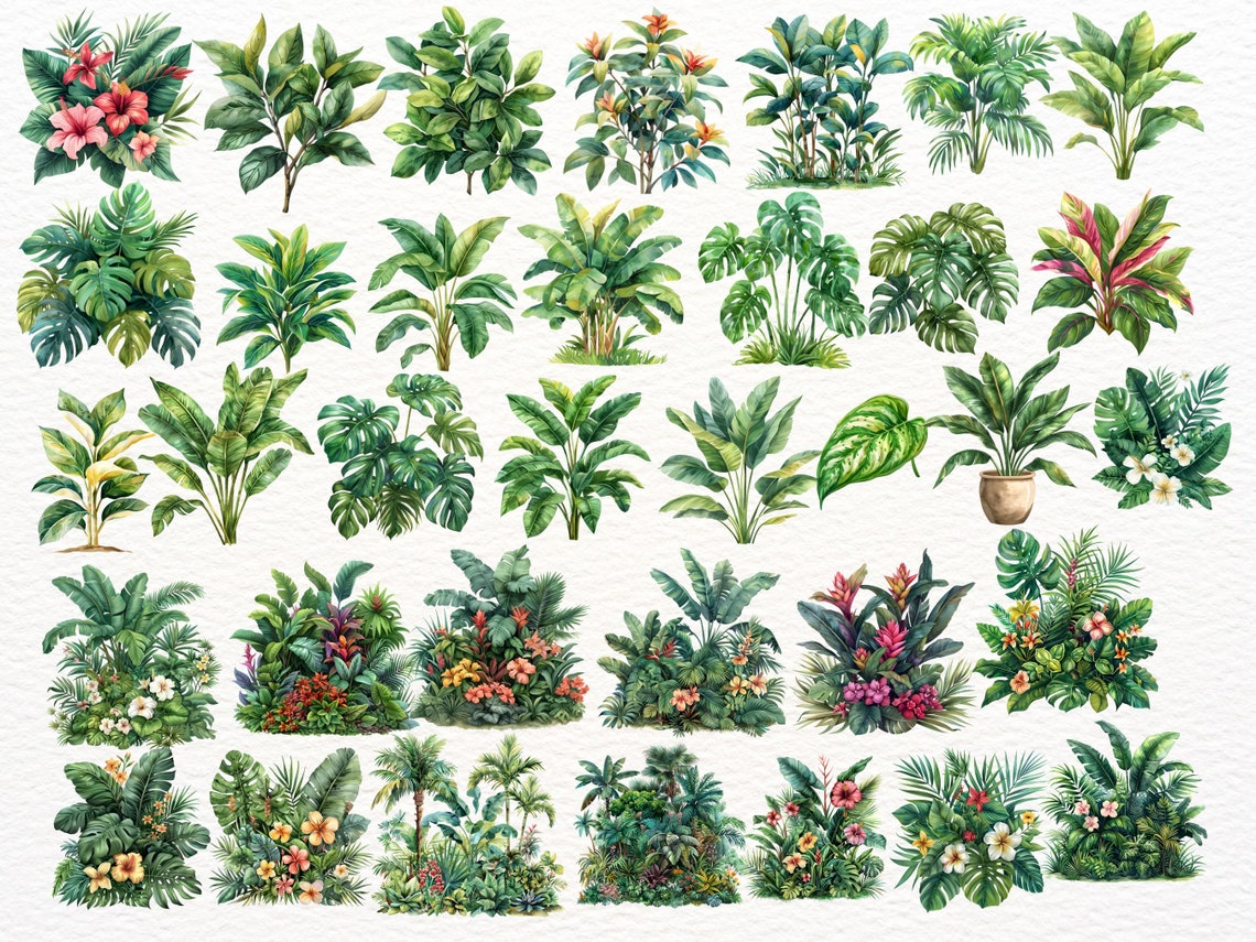 Tropical Plant Clipart Bundle: 70 PNG Images for Scrapbooking (digital ...