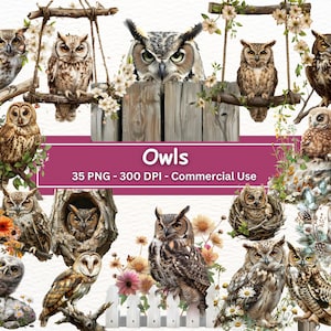Eulen Clipart Bundle, 35 PNG-Set, Wildvogelillustrationen, Papagei, realistische Vögel Clip Art, Schleiereule, echte Eule, Kartenherstellung, Collage