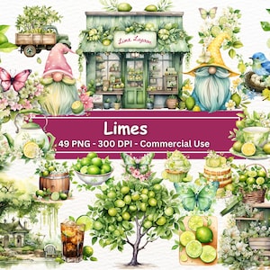 Paquete de imágenes prediseñadas de lima acuarela, conjunto PNG de 49, imágenes prediseñadas de limas, pastel de lima, gnomo, pastel, árboles, plantas, imágenes prediseñadas de cítricos, uso comercial