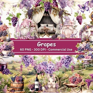 May include: Watercolor illustrations of grapes, gnomes, a camper van, a bunny rabbit, and other grape-themed elements. The illustrations are in a whimsical style and feature a variety of colors, including purple, green, and pink. The text "Grapes 60 PNG - 300 DPI - Commercial Use" is displayed on a pink banner.