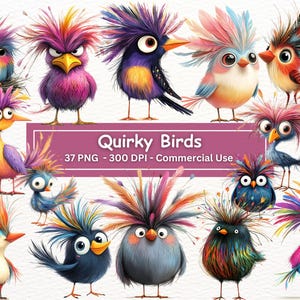 Bundle de cliparts oiseaux originaux, 37 PNG, fond Transparent, illustrations d'oiseaux rigolos, cheveux en désordre, fabrication de cartes, sublimation