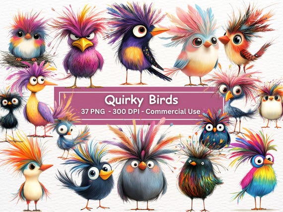 Funny Bird Clipart: Silly PNG Illustrations (Digital Download)