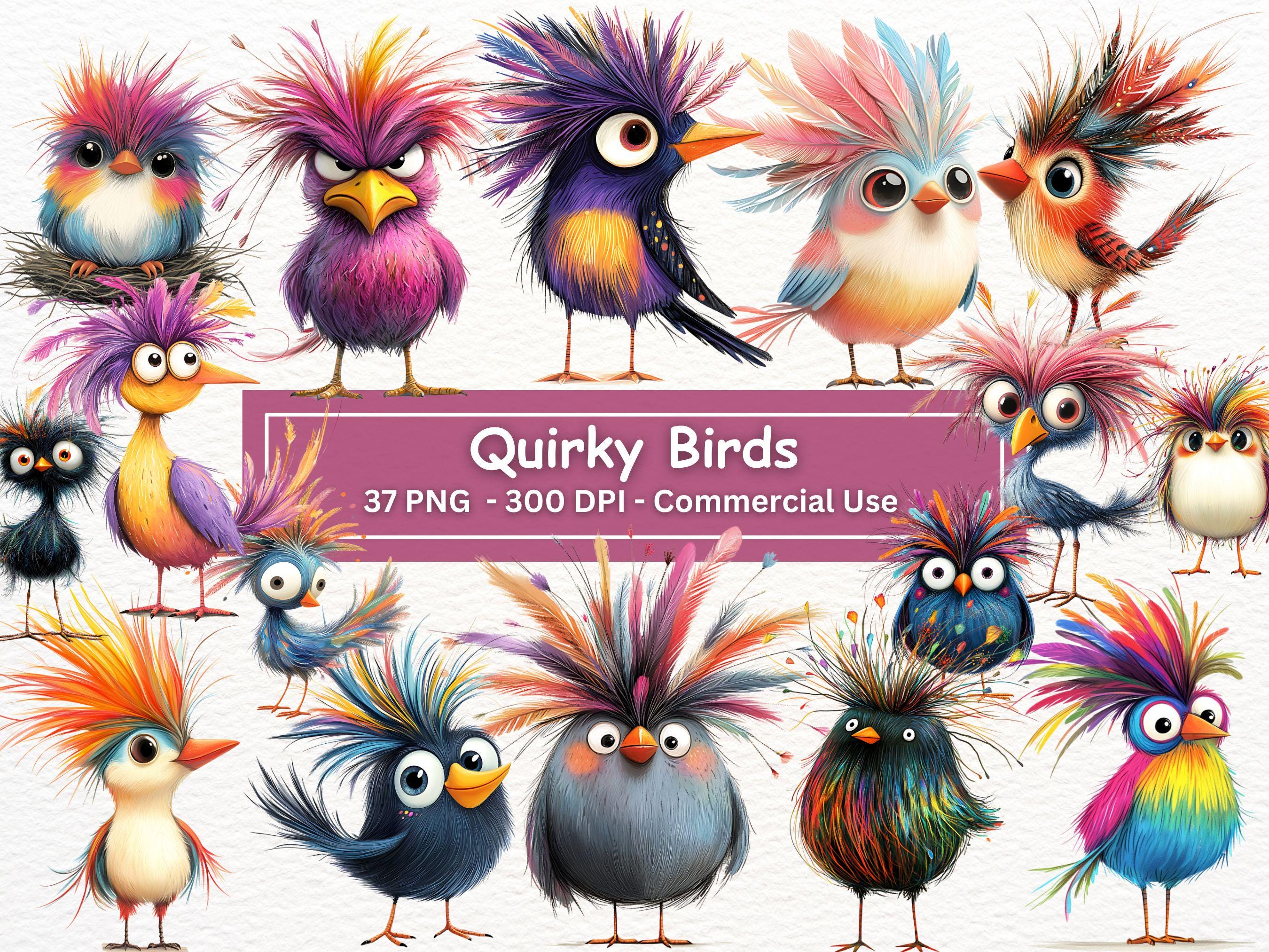 Quirky Birds Clipart Bundle, 37 PNG Set, Transparent Background,Silly Funny Bird Illustrations, Messy Hair, Card Making,Sublimation