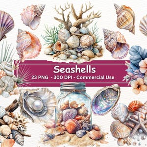 Puede incluir: Una colección de 23 ilustraciones de acuarela de conchas marinas en varias formas, tamaños y colores. Las ilustraciones incluyen una variedad de conchas marinas, incluyendo conchas de vieira, conchas de ostra y conchas de caracol. Las ilustraciones son perfectas para usar en scrapbooking, creación de tarjetas y otros proyectos de manualidades.
