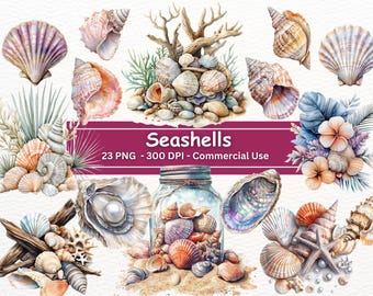 Aquarell Muscheln Clipart Bundle: Sommer Muscheln PNG Set (kommerzielle Nutzung)