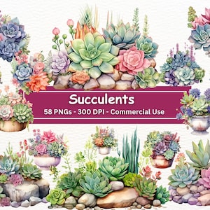 Aquarelle Succulent Garden Clipart Bundle, PNG Botanical Graphics, Ensemble de 58, Téléchargement numérique, Fond transparent, Utilisation commerciale