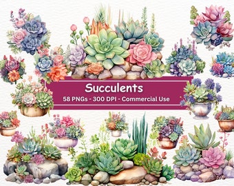 May include: Watercolour illustration of a collection of succulents in various pots and arrangements. The succulents are in shades of green, pink, and purple. The image includes the text "Succulents 58 PNGs - 300 DPI - Commercial Use".