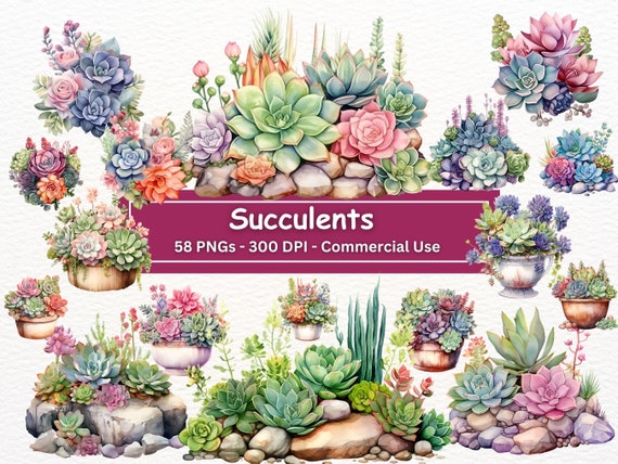 Watercolor Succulent Clipart Bundle: Botanical PNG Graphics (Digital Download)