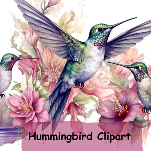 Hummingbird Clipart, 10 PNGs, Nursery Art, Instant Digital Download, Card Making, Watercolor Bird Clip Art, Digital Paper Craft, Sublimation