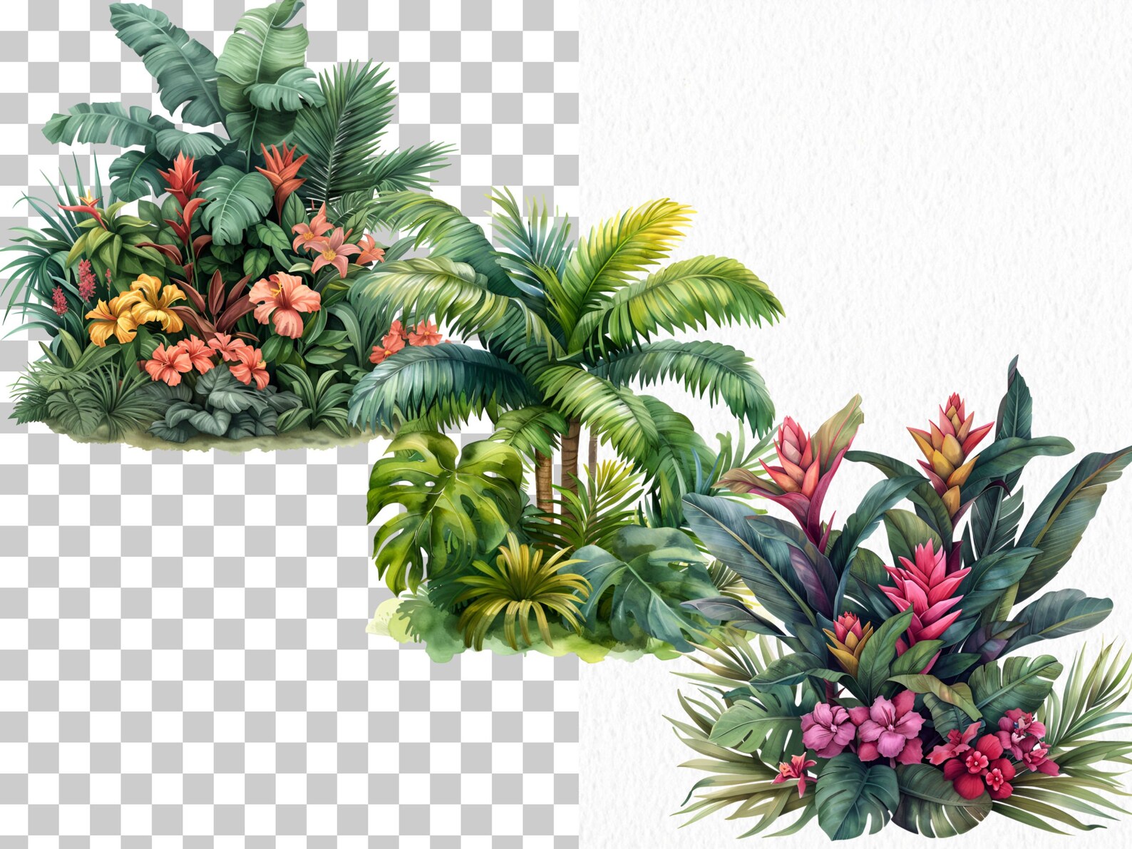 Tropical Plant Clipart Bundle: 70 PNG Images for Scrapbooking (digital ...
