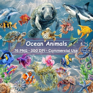 Oceaan dieren clipart, set van 76 PNGs, onder de zee, lamantijn, vis, octopus, kwallen, haai, dolfijn, schildpad, zeeplanten, koraal