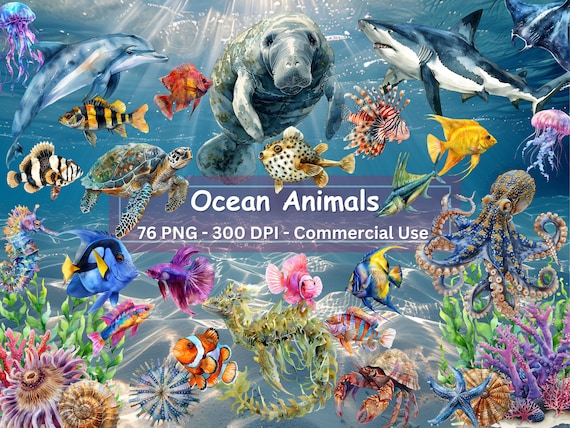 Ocean Animals Clipart: 76 PNG Sea Creatures (Digital Download)