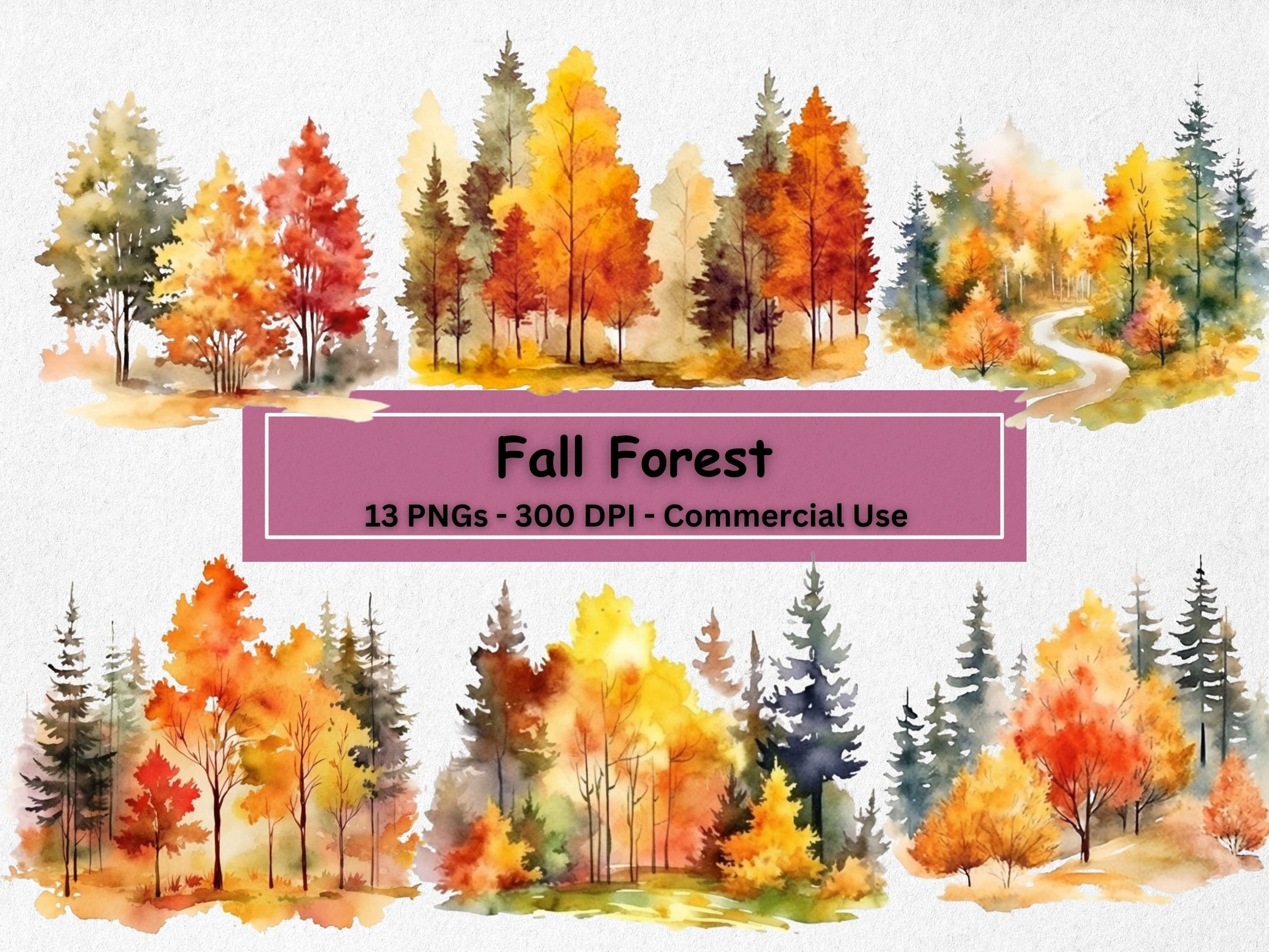 Autumn Fall Forest Watercolor Clipart Bundle, Fall Trees Clip Art PNG Set of 13 Plus Bonus Digital Paper, Card Making, Paper Craft
