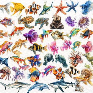 Clipart med havsdjur: 76 havsdjur i PNG (digital nedladdning) bild 5