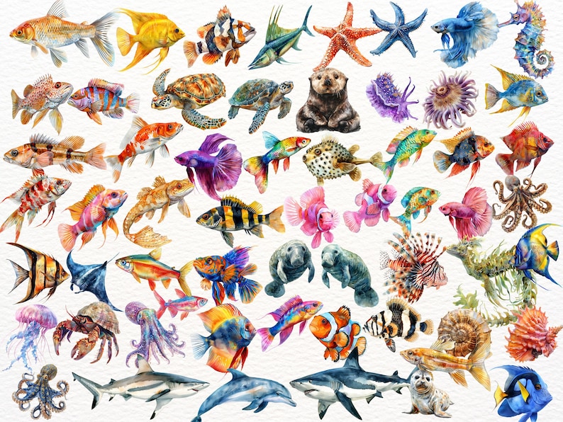 Clipart med havsdjur: 76 havsdjur i PNG (digital nedladdning) bild 5
