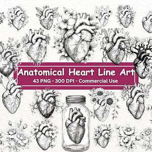 Anatomische Blumenherzen Line Art Clipart, PNG-Set von 43, schwarz-weiße Herzen, Fantasy Alien Herzzeichnung, transparenter Hintergrund