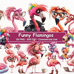Funny Flamingos, Set Of 26 PNGs, Cute Birds Messy Hair, Biker Flamingo With Mohawk, Silly Crazy Flamingo Sublimation