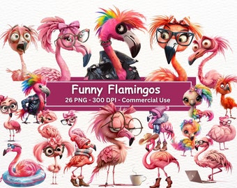 Funny Flamingos, Set Of 26 PNGs, Cute Birds Messy Hair, Biker Flamingo With Mohawk, Silly Crazy Flamingo Sublimation