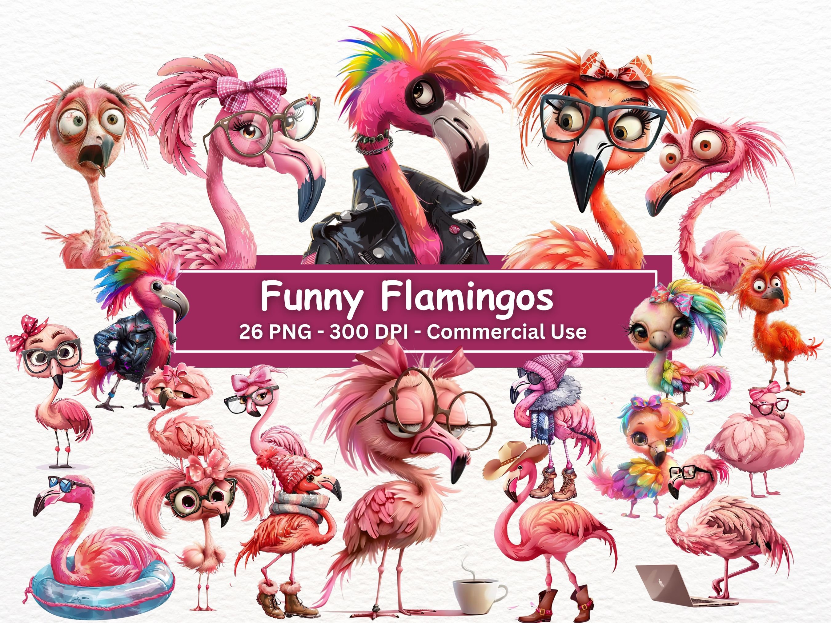 Funny Flamingo PNG Clipart: Biker, Messy Hair Birds (digital