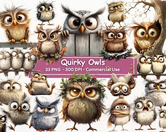 Quirky Owl Clipart Bundle: Funny Bird PNG Illustrations (Digital Download)