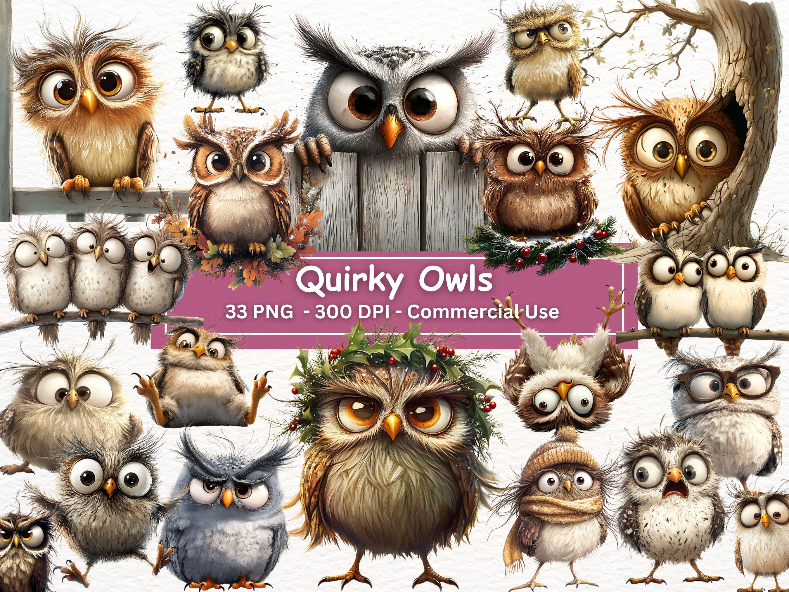 Quirky Owl Clipart Bundle: Funny Bird PNG Illustrations (Digital Download)