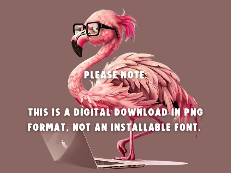 May include: A pink flamingo wearing glasses and using a laptop computer. The text "PLEASE NOTE: THIS IS A DIGITAL DOWNLOAD IN PNG FORMAT, NOT AN INSTALLABLE FONT." is displayed below the flamingo.