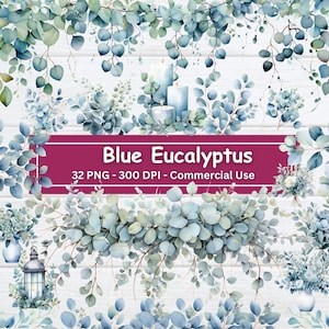 Paquete de imágenes prediseñadas de eucalipto azul acuarela, conjunto de 32 PNG, follaje, hojas, vegetación, invitaciones de boda, fabricación de tarjetas, uso comercial