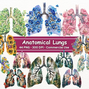 以下が含まれることがあります： 水彩画で描かれた解剖学的肺のイラスト。様々な花や自然の風景で満たされています。肺は、複雑なディテールを備えた写実的なスタイルで描かれており、花や自然の風景は鮮やかでカラフルで、美しくユニークなデザインを生み出しています。