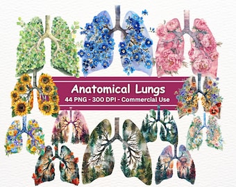 Könnte beinhalten: Aquarell-Illustrationen von anatomischen Lungen, die mit verschiedenen Blumen- und Naturszenen gefüllt sind. Die Lungen sind in einem realistischen Stil mit filigranen Details dargestellt. Die Blumen und Naturszenen sind lebendig und farbenfroh und schaffen ein wunderschönes und einzigartiges Design.