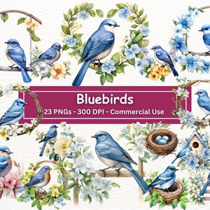 Aquarell blauer Vogel Clipart, 23 PNG Set Kinderzimmer Kunst, digitaler Download, Kartenherstellung, Vogel ClipArt, digitales Papier Handwerk, kommerzielle Nutzung