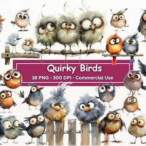 Quirky Birds Clipart Bundle, 38 PNG Set, Transparent Background,Silly Funny Bird Illustrations, Card Making, Sublimation,Digital Paper Craft