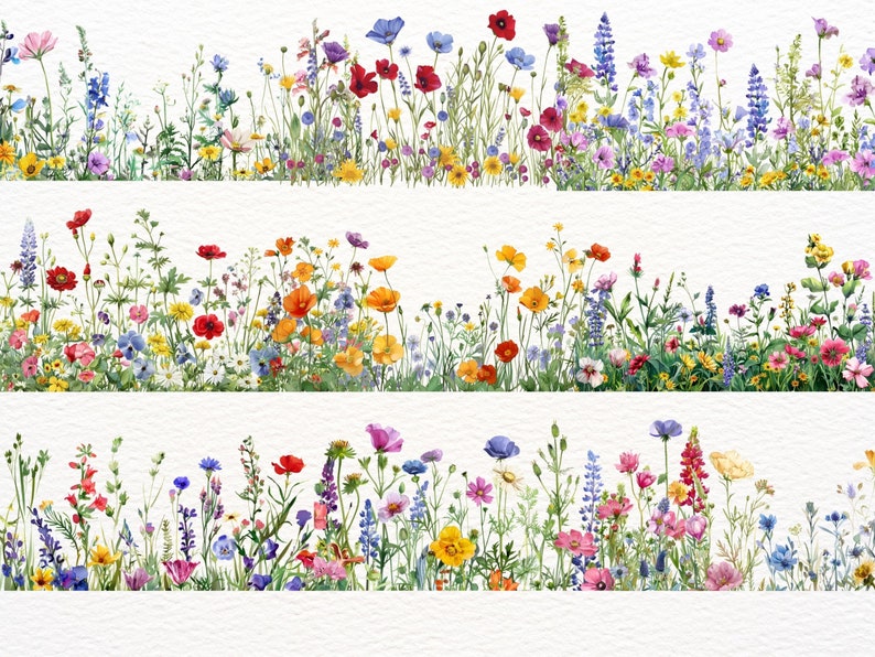 Wildflower Borders Clipart Bundle: Spring Meadow Pngs (digital Download ...