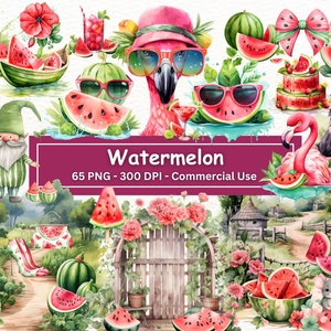 Aquarel watermeloen clipart bundel, PNG set van 65, watermeloenen illustraties, rustiek, kabouter, cake, bloemenmand, zomerfruit, commercieel gebruik