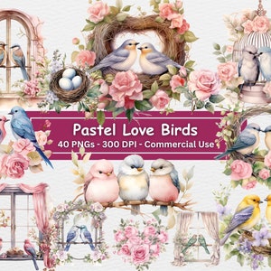Aquarelle Pastel Love Birds Clipart Bundle, 40 PNG Set, Nursery Art, Fabrication de cartes, Oiseaux mignons, Coeurs, Artisanat en papier numérique, Utilisation commerciale