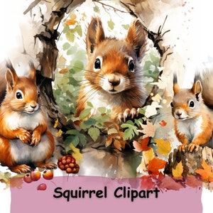 Aquarelle écureuil Clipart Bundle, 10 PNG Image Pack, utilisation commerciale, téléchargement numérique, Junk Journal, Scrap Book, Sublimation