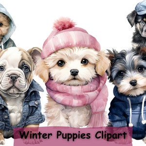 Watercolor Winter Puppy Clipart, 12 PNGs, Dog Digital Download, Card Making, Realistic Puppy Clip Art Bundle, Digital Paper Craft