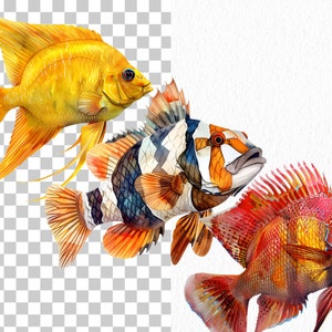 Clipart med havsdjur: 76 havsdjur i PNG (digital nedladdning) bild 2