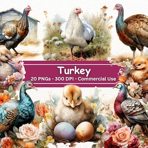 Watercolor Turkey Clipart,  Floral Turkey,  Turkey PNG Art, Card Making, Clip Art, Digital Paper Craft, Sublimation, Commercial Use