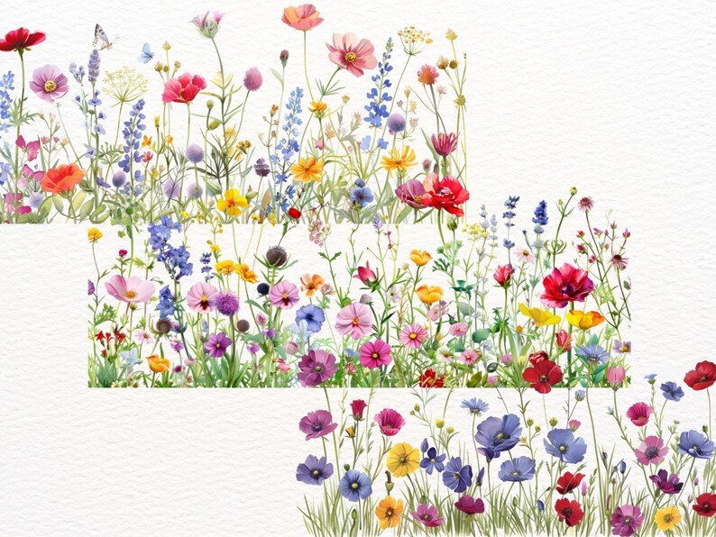 Wildflower Borders Clipart Bundle: Spring Meadow Pngs (digital Download ...