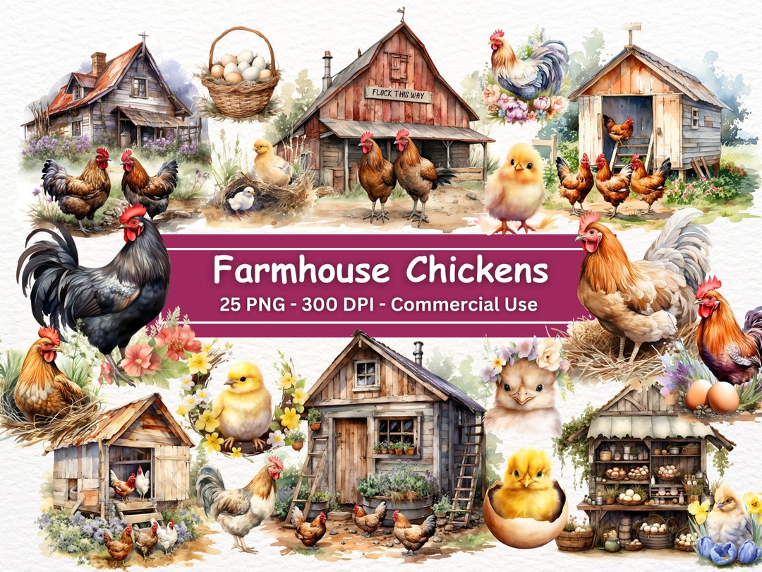 Rustic Chick Farm Chicken Clipart Bundle: Rustic Hen, Rooster & Chick PNG (digital ...