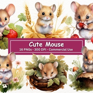 Clipart de mouse fofo, 16 PNGs, arte de berçário, criação de cartões, clip art, artesanato em papel digital, pintura em aquarela, sublimação