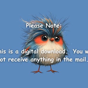 Peut inclure: Un oiseau de dessin anim&eacute; avec des plumes bleues et rouges et de grands yeux. Le texte "Veuillez noter : Ceci est un t&eacute;l&eacute;chargement num&eacute;rique. Vous ne recevrez rien par la poste." est sous l'oiseau.