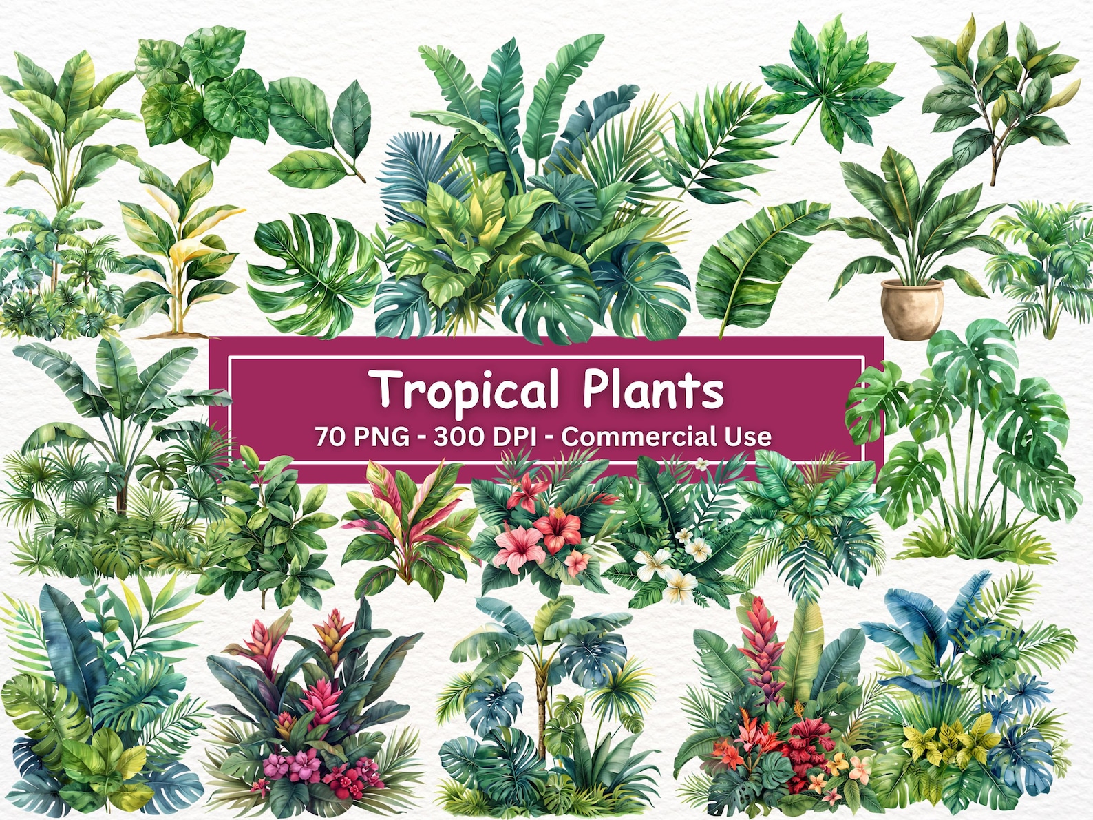 Tropical Plant Clipart Bundle: 70 PNG Images for Scrapbooking (digital ...