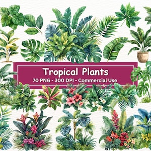 Paquete de imágenes prediseñadas de plantas de la selva tropical, 70 imágenes PNG, uso comercial, descarga digital de jardín floral, diario basura, álbum de recortes, PNG de plantas