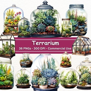 Pacote de clipart de terrário, conjunto de 28 PNG arte botânica, download digital, clipart de estufa de plantas, artesanato de papel digital, uso comercial